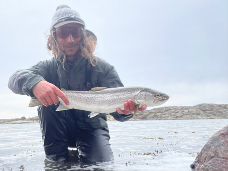 Ett svårfiskat vårfiske på västkusten och ett magiskt Nordnorge
