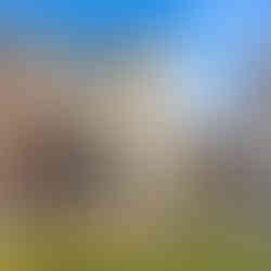 End unit brick townhome in neighborhood