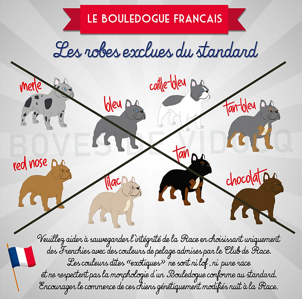 couleurs exo.png