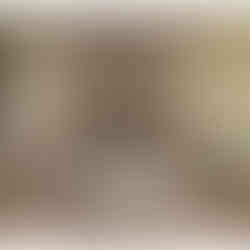 Elegance in Tan and Grey - The Royal Room & Executive Rooms