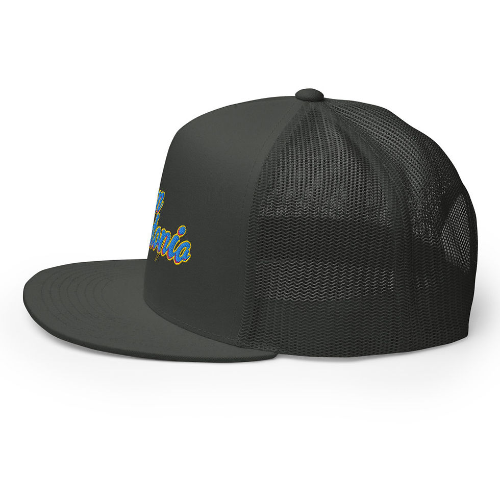 Thumbnail: San Antonio Flow Mesh Trucker Cap
