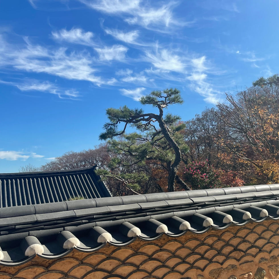 KakaoTalk_20221208_004005296