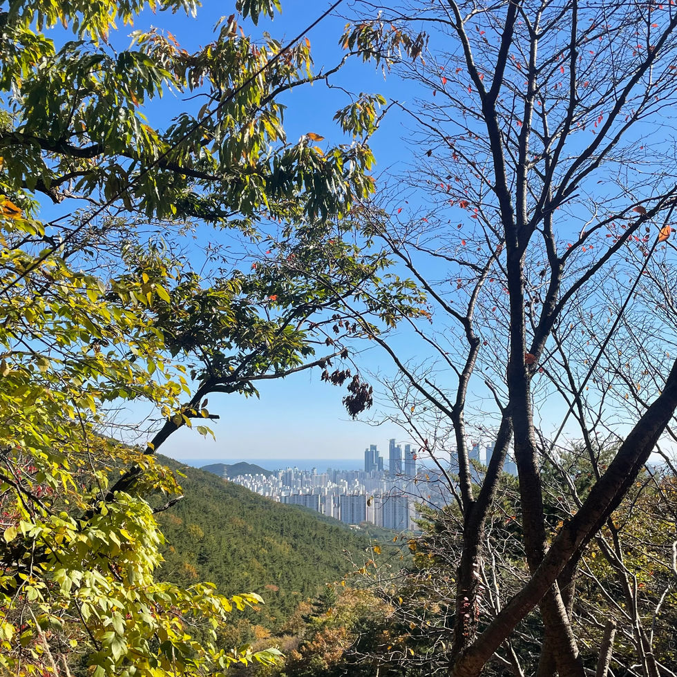 KakaoTalk_20221208_004028847