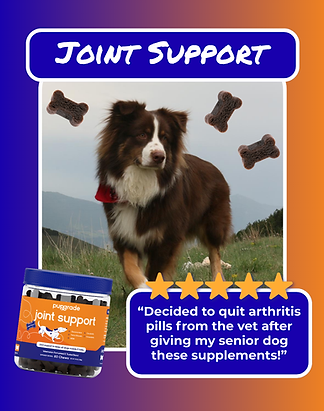 Joint Support (1).png