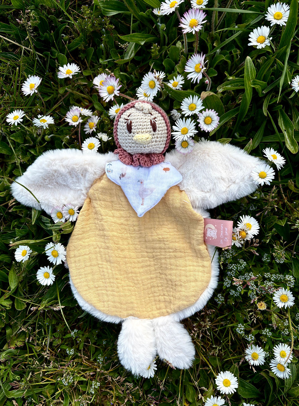 Miniature : Plume le canard 🐣 