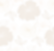 graphic1.png