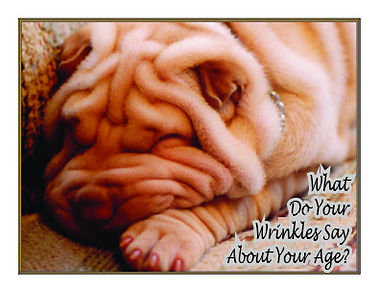 Wrinklesfront.jpeg