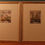 Thumbnail: Original Ludwig Botanical studies framed, can be bought separately