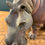 Thumbnail: Ceramic Hippo, signed B.M.H