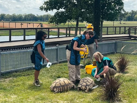 The Wild Side of Portable Imaging: MinXray and the Global Wildlife Center