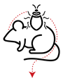 Pest Control Icon