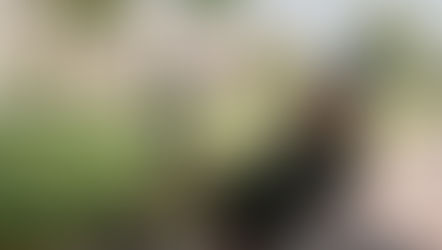 #FIRSTLOOK: The Game is Afoot! Prime Video Releases First-Look Images for YOUNG SHERLOCK series.