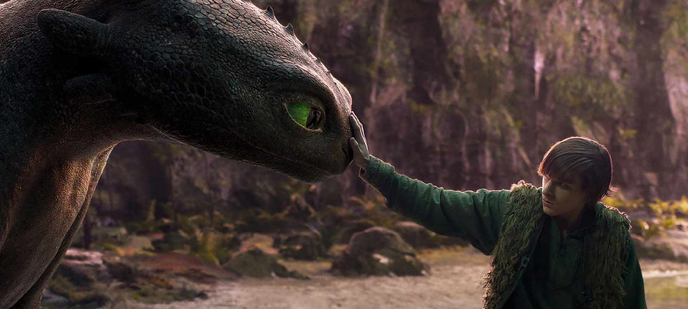HowtoTrainYourDragon-m.jpg