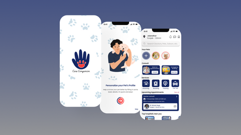 UI/UX Design