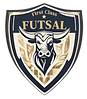 First Class Futsal, Oxford, Oxfordshire, delivering expert training