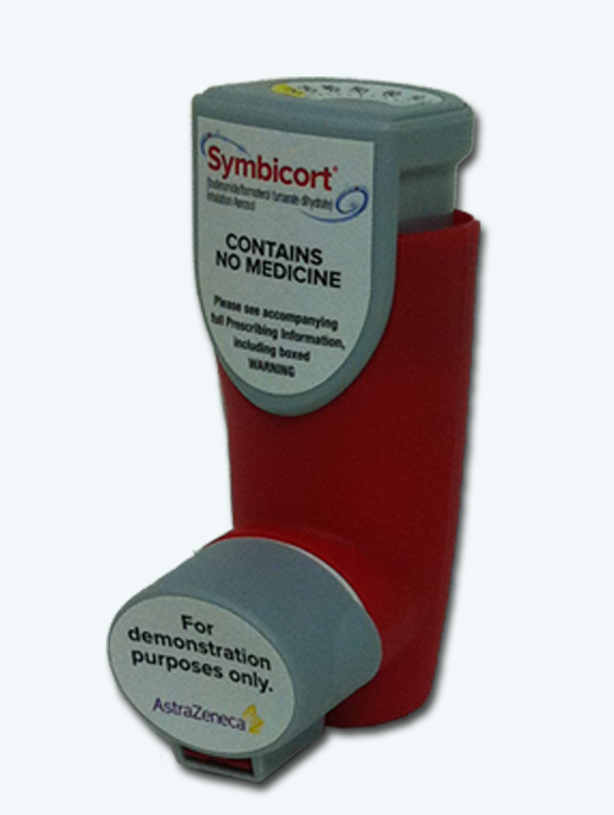 Product Demonstration Replicas