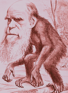 La grotesca caricatura de Darwin, hecha para ridiculizar el concepto de evolución