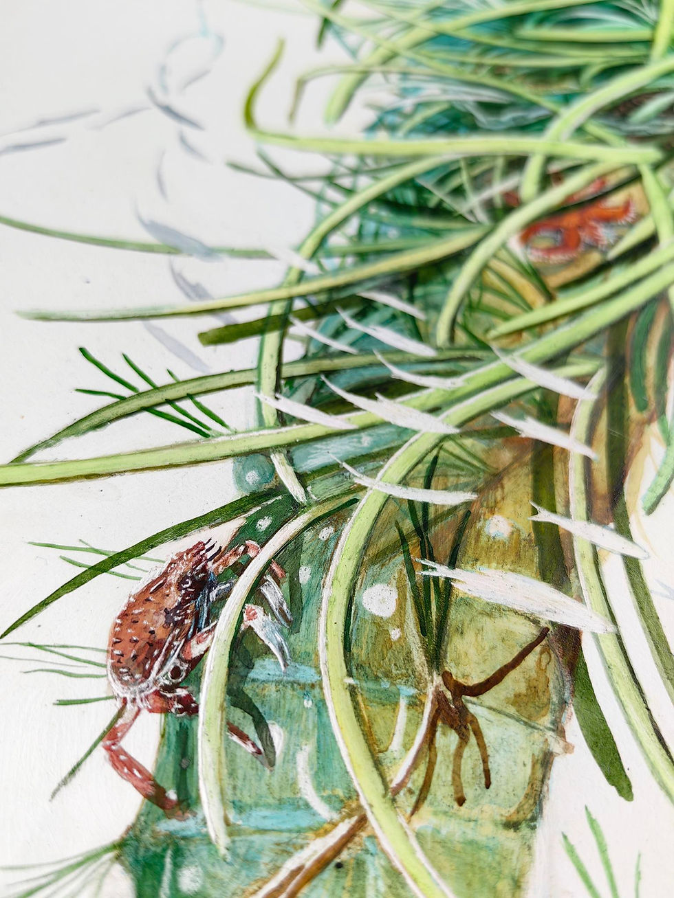 Thumbnail: Ambassador