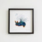 Thumbnail: Nudibranch - Nembrotha Kubaryana