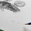 Thumbnail: Tardigrade
