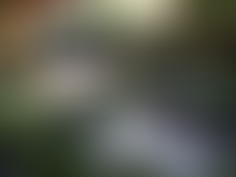 How Much Does Landscaping Cost?