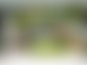 Big Ideas for Small Gardens – How to Maximise Your Space