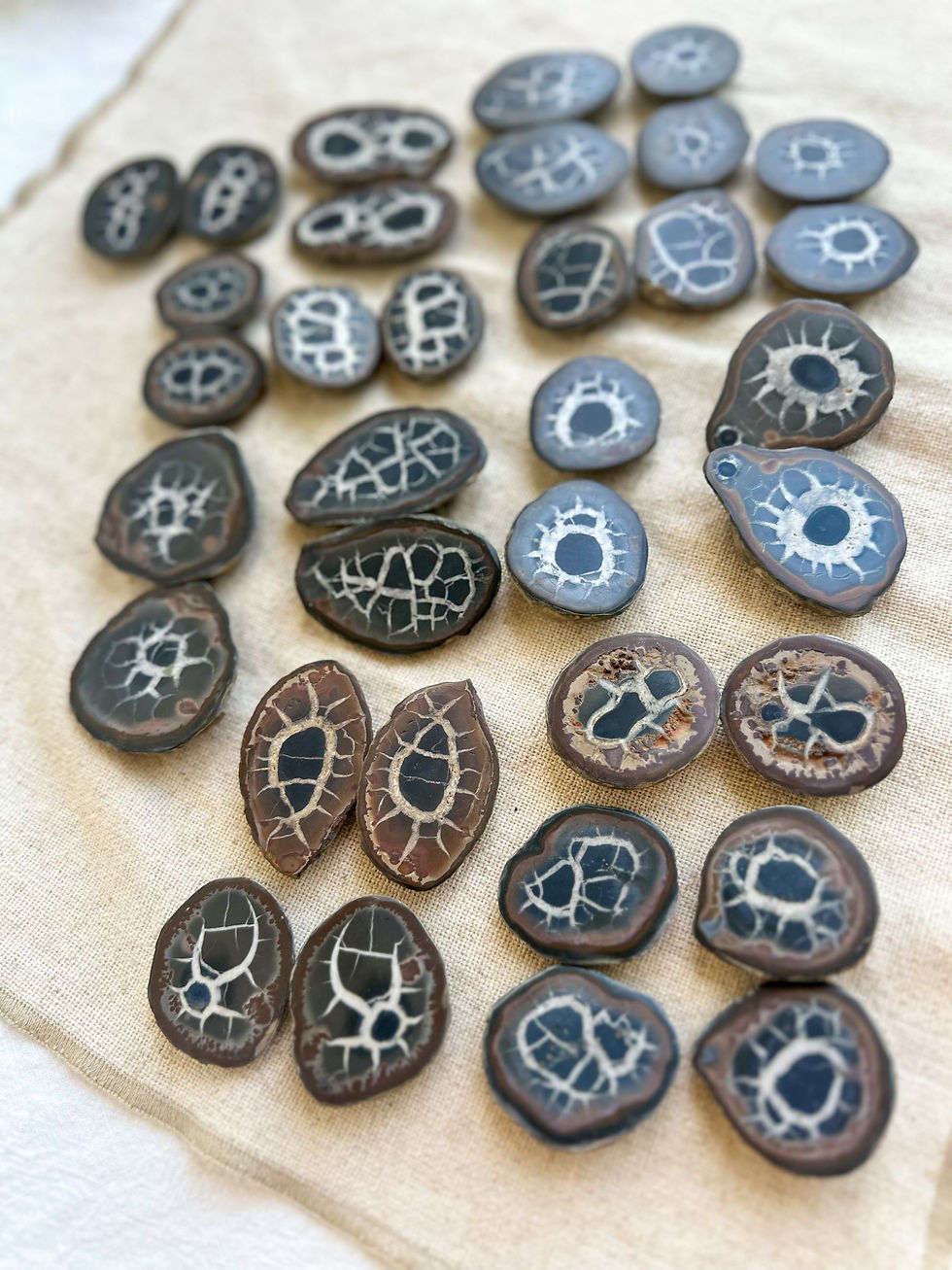 Miniatura: Nódulos de Septarian Nodular