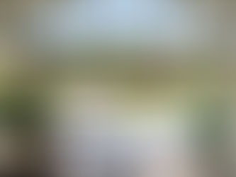 Million-Pound Beauty: Dream Garden Without the Price Tag