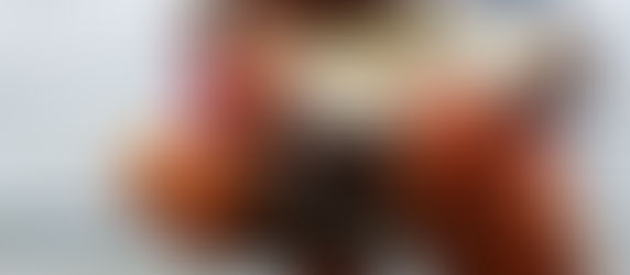 It's all about the BITE!