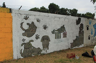 IMG_2587.JPG