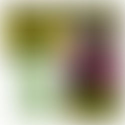 My 2nd Bookstore- @ The Ujamma Bookstore ( 1511 Livingston Ave, Columbus, OH 43205)