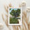 Thumbnail: Minimalist white frame watercolor of live oak and bay sunset, ideal for neurodivergent women’s calm space.