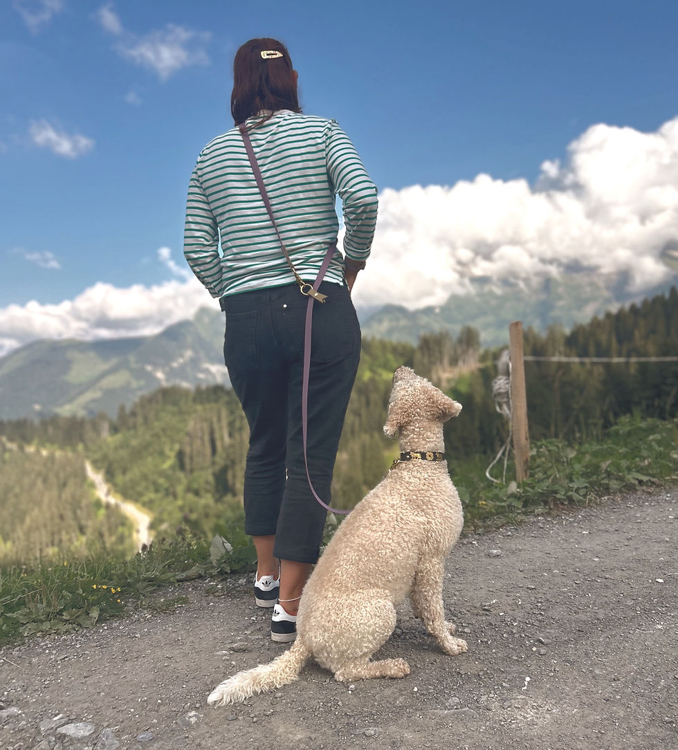 Miniature : Biothane®️ Hands Free Dog Leash
