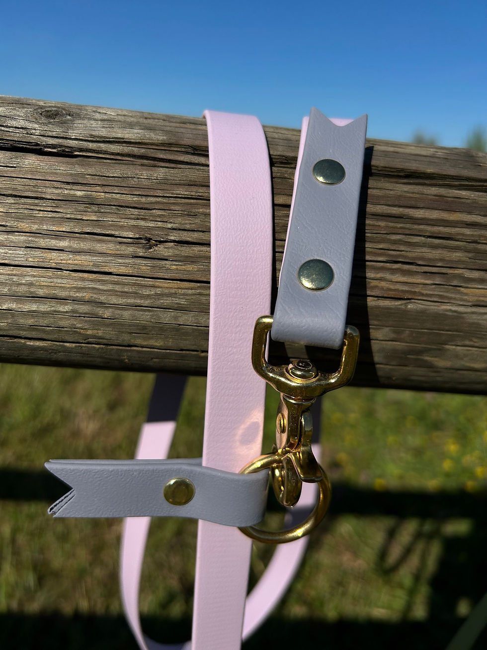 Miniature : Biothane®️ Hands Free Dog Leash