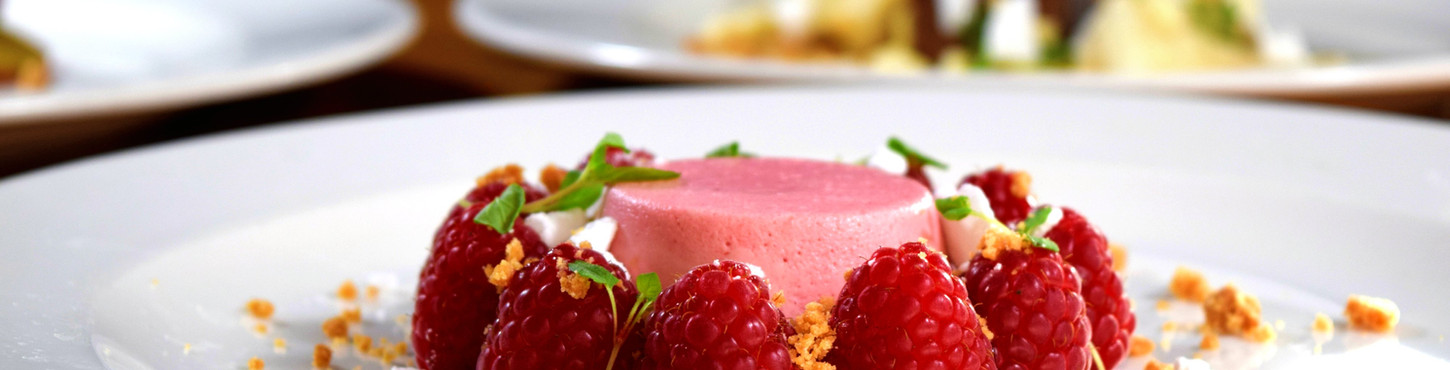 Frozen Dessert Catering