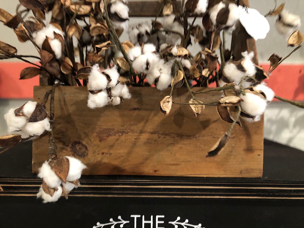 Thumbnail: Home Decor