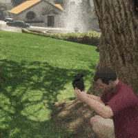 short2.gif