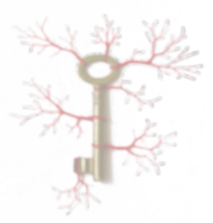 Key_edited_edited.png