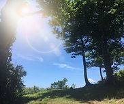 森の中でのコーチングは、楽しく問題解決に取り組めます。