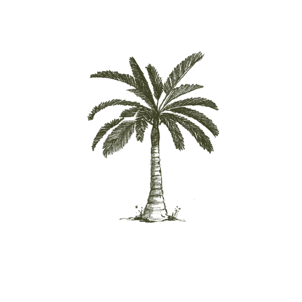 IMG_1065.PNG