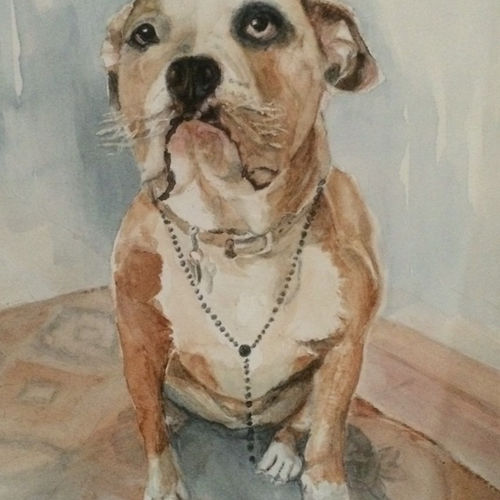 Zoey Dog Pet Portrait