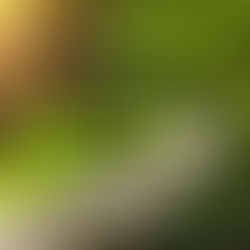 Parks Near Royal Oaks & East Garden Apartment Homes