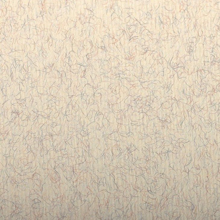 Thumbnail: Clairefontaine Ingres Pastel Paper 50x65cm 粉彩專用紙