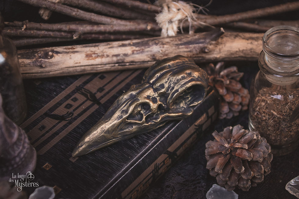 Miniature : Corvus - Bronze
