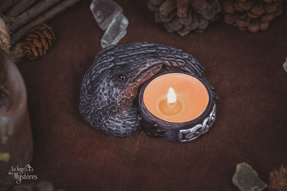 Miniature : Endilogi - L’ultime flamme