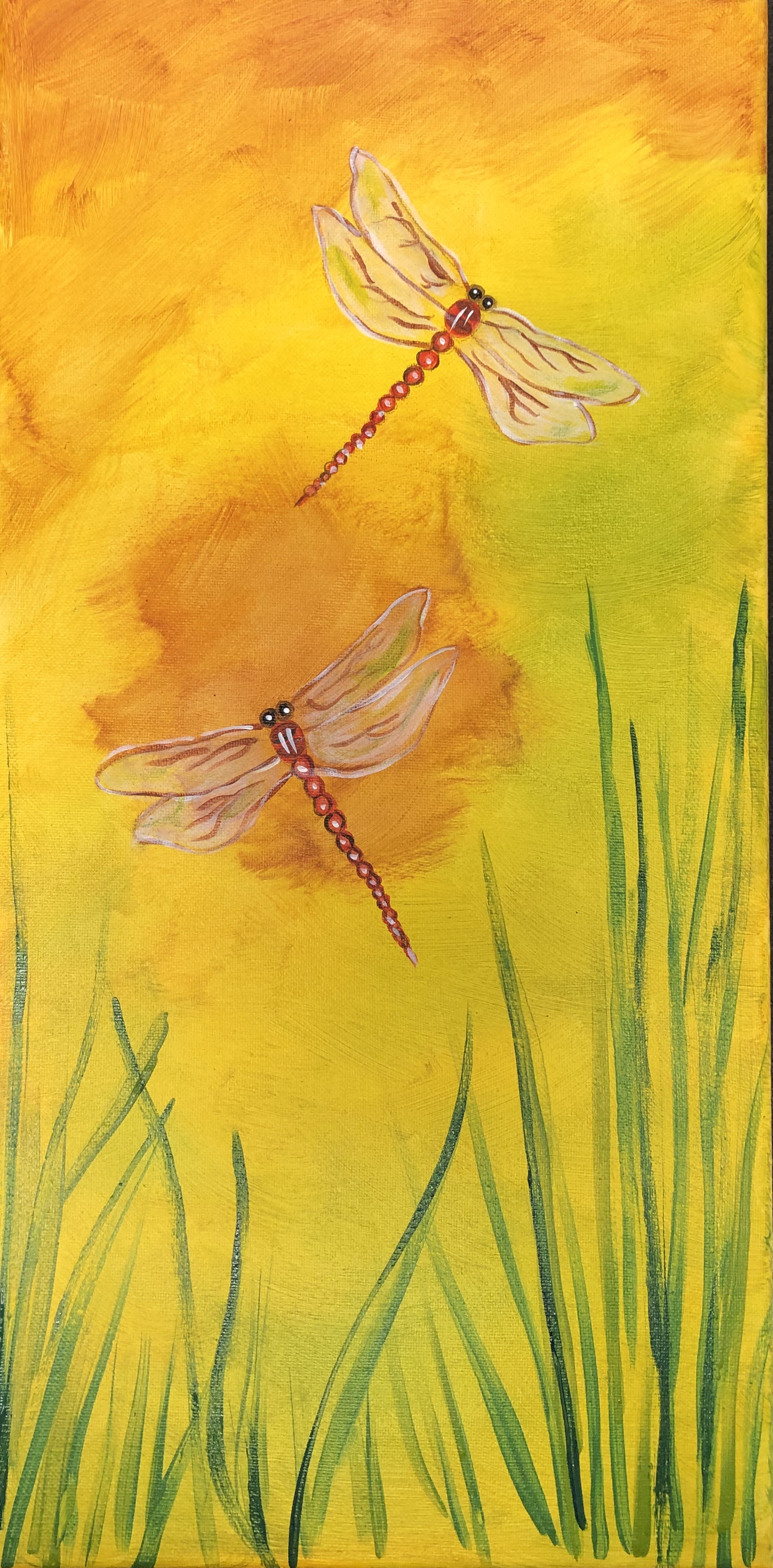Dragonfly Dreams