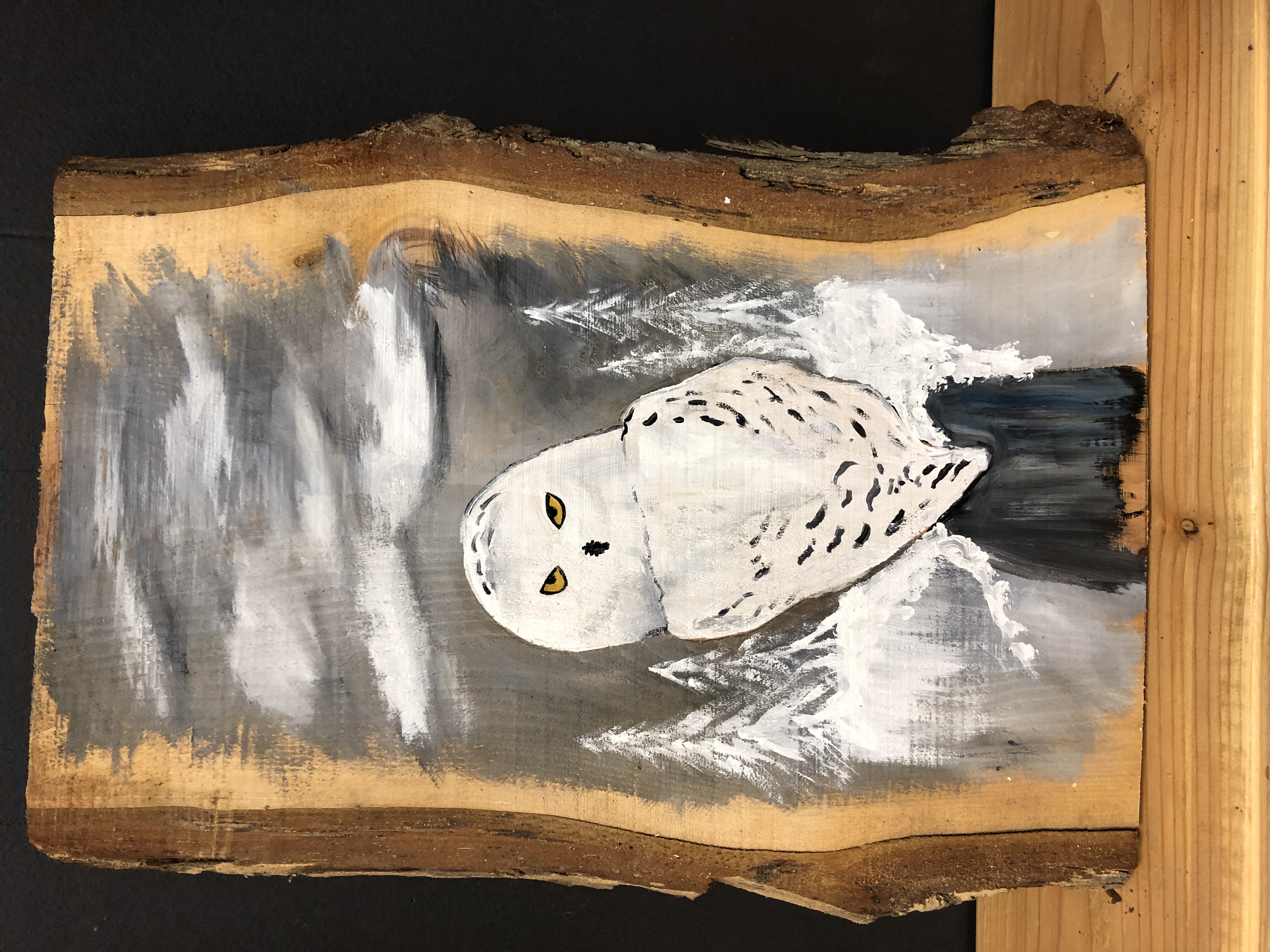 Snow Owl on Wood