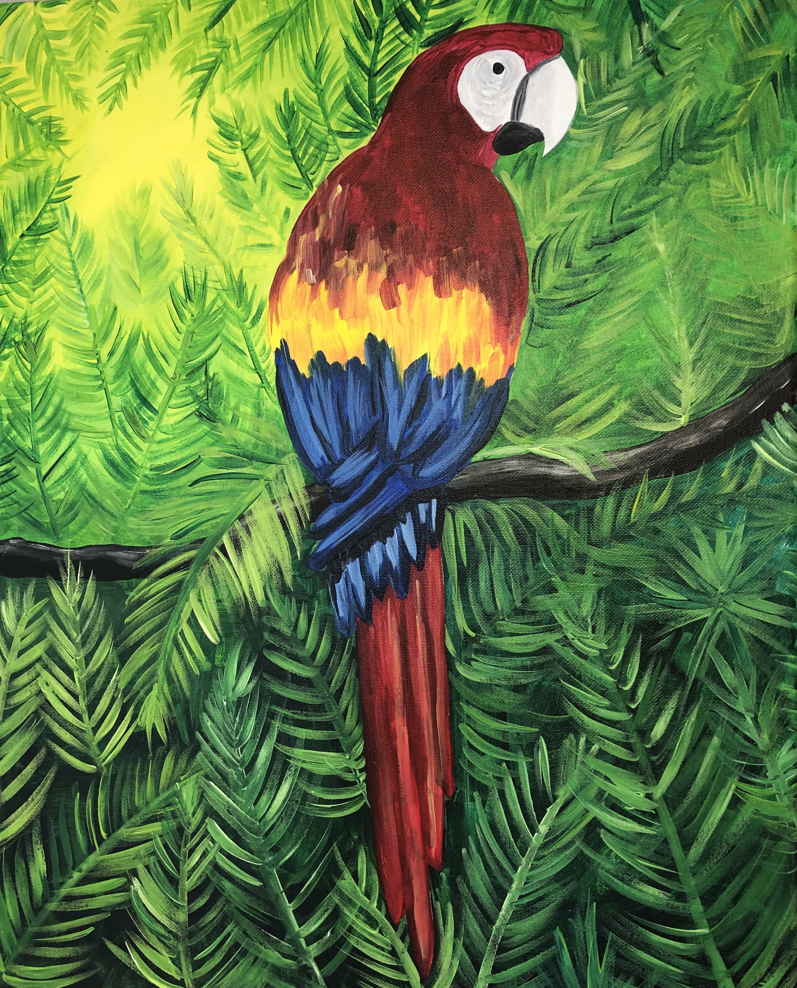 McCaw Parrot