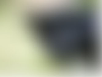 Birdwatching - for bodies (Observations of wildlife to locate human remains).