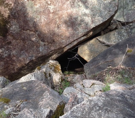 CONCEALMENT OF THE WHEREABOUTS OF HUMAN REMAINS (RE-VISITED)[i]